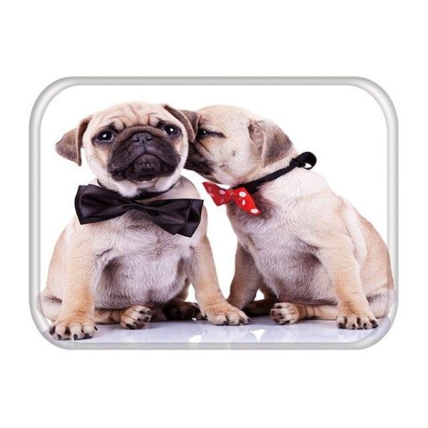 tapis d'entrée pour la porte