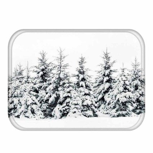 tapis d'entrée nature